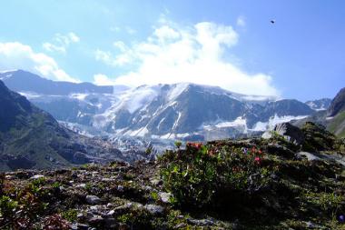 Pohled na pitztalské hory